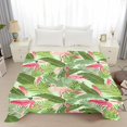 thumbnail image 4 of Yibo Flamingo Blanket,Funny Flamingo Collage Print Gifts for Flamingos Lovers, Soft Plush Flannel Throw Bed Sofa Bedroom Decoration for Kids, 4 of 8