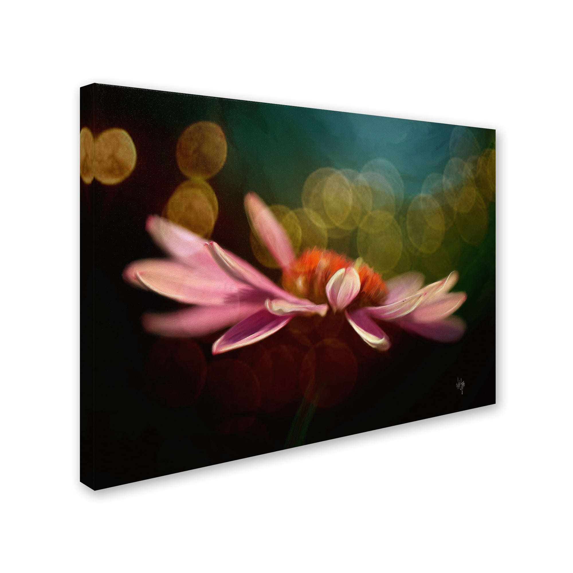Lois Bryan 'The Secret World of Coneflowers' Canvas Wall Art 35 x 47 Inches