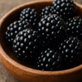 thumbnail image 4 of Triple Crown Blackberry Starter Plants - Set of 2, Thornless Berry Bush, Full Sun, USDA Zones 5 to 9, Ships Bare Root, No Pot, 4 of 8