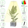 thumbnail image 3 of Plant Grow Light LED Growing Light Full Spectrum for Indoor Plants Height Adjustable Automatic Timer V Low Voltage Idea for Large Plant Light, 3 of 5