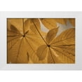 thumbnail image 3 of Vitaly Geyman 32x23 White Modern Wood Framed Wall Art Titled - Chestnut Leaves Duet II Brown, 3 of 5