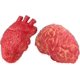 thumbnail image 4 of Halloween Decoration Human Organ Prop Fake Bloody Heart | Halloween Decoration Haunted House Props Decor, 4 of 5