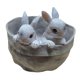 thumbnail image 1 of Macetas suculentas pequeño de resina, maceta, jarrón, maceta para bonsái, hogar, oficina, sala de , dormitorio, decoración de Hotel, Macarena Maceta de jarrón de busto, 1 of 8
