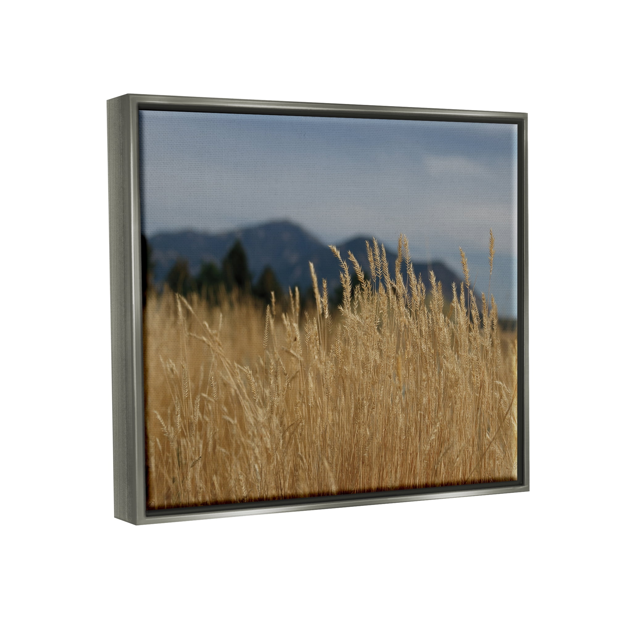 Stupell Industries Wheat Field Landscape Nature Photography Gray Floater Framed Art Print Wall Art, 31 x 25