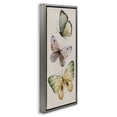 thumbnail image 3 of Stupell Industries Cottage Fluttering Butterfly Trio Gray Floating Frame Canvas Art, 14 x 31, by Carol Robinson, 3 of 8