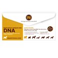 thumbnail image 1 of Test d'identification de Race Canine., 1 of 5