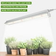 thumbnail image 2 of DONGPAI T5 LED Grow Lights 2pcs x 10 Watts, 5000K White Full Spectrum Plant Light Strips for Indoor Plants, Shelves Greenhouse Seedling, End-to-End Connectable with V-Shaped Reflector, 2 of 8