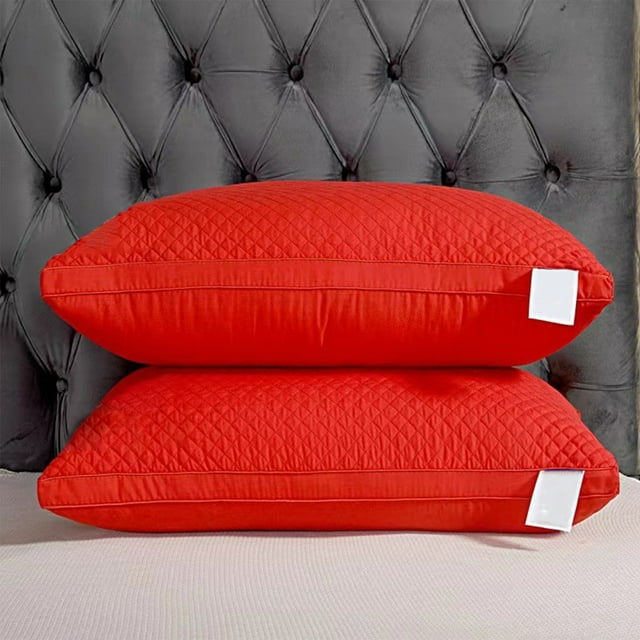 EazyTech Queen Pillow Core High Resilience Supportive Non-Deforming Bed Pillows for Back Stomach Side Sleepers 20x30 Inch Red