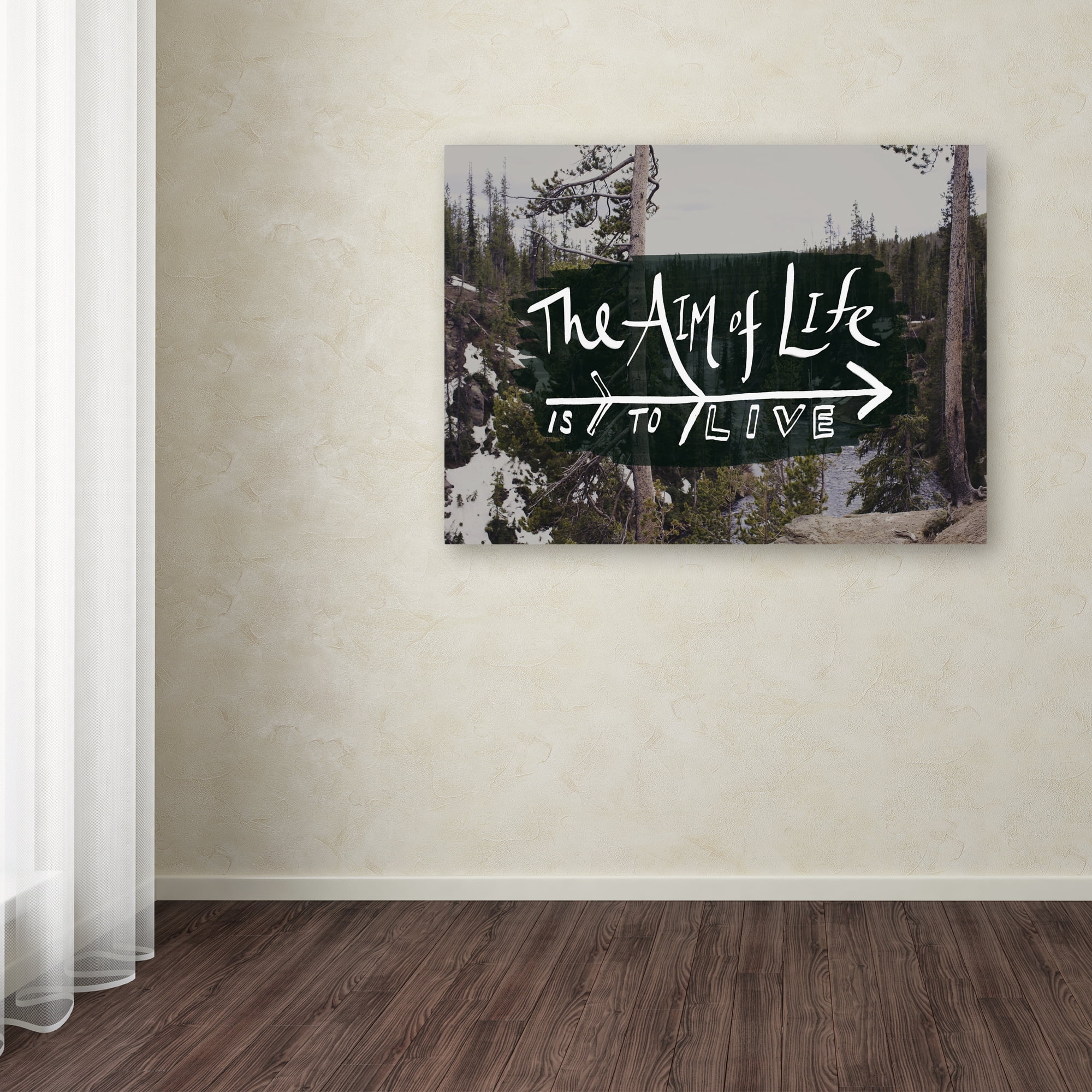 Trademark Fine Art "The Aim of Life" Canvas Art by Leah Flores