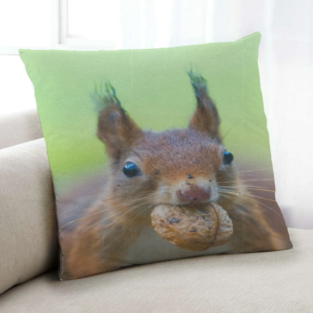 Ahgly Company OAnimals Squirrel Reiller Intérieur 18 Pouces par 18 Pouces