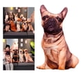 thumbnail image 4 of Coussin en Peluche Motif Chien, Jouet Amusant, Lavable, Style C, 4 of 9