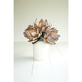 thumbnail image 4 of BOTANICA #3401, 4 of 6