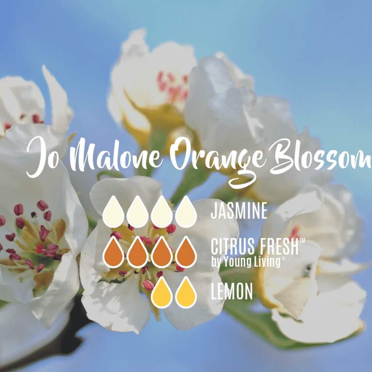 Orange Blossom - Jo-Malone Type - Perfume Oil – Sweet Essentials