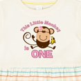 thumbnail image 4 of Inktastic Little Monkey Girl 1st Birthday Girls Baby Dress, 4 of 5