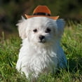 thumbnail image 5 of IDEANATEGRATE 2Ud Accesorios De Vestir Para Mascotas Sombreros Decorativos De Paja Para Eventos, 5 of 5