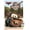 Premium Poster & Push Pin Bundle, variant on Disney Pixar Cars - Mater Wall Poster, 22.375" x 34"