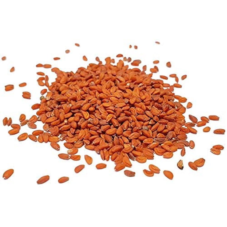 carrot plant seeds Heirloom Scarlet Nantes Carrot Seeds (1g) – Patriot Seeds main image 0