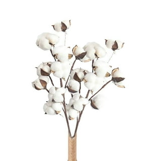 10 Balls Per Stem Cotton Flower Dried Cotton Stems Farmhouse Naturally  Artificial Flower Picks Natural Cotton Balls - Artificial Flowers -  AliExpress