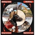 thumbnail image 5 of Breathable Basket Muzzles For Large Dogs, 5 of 5