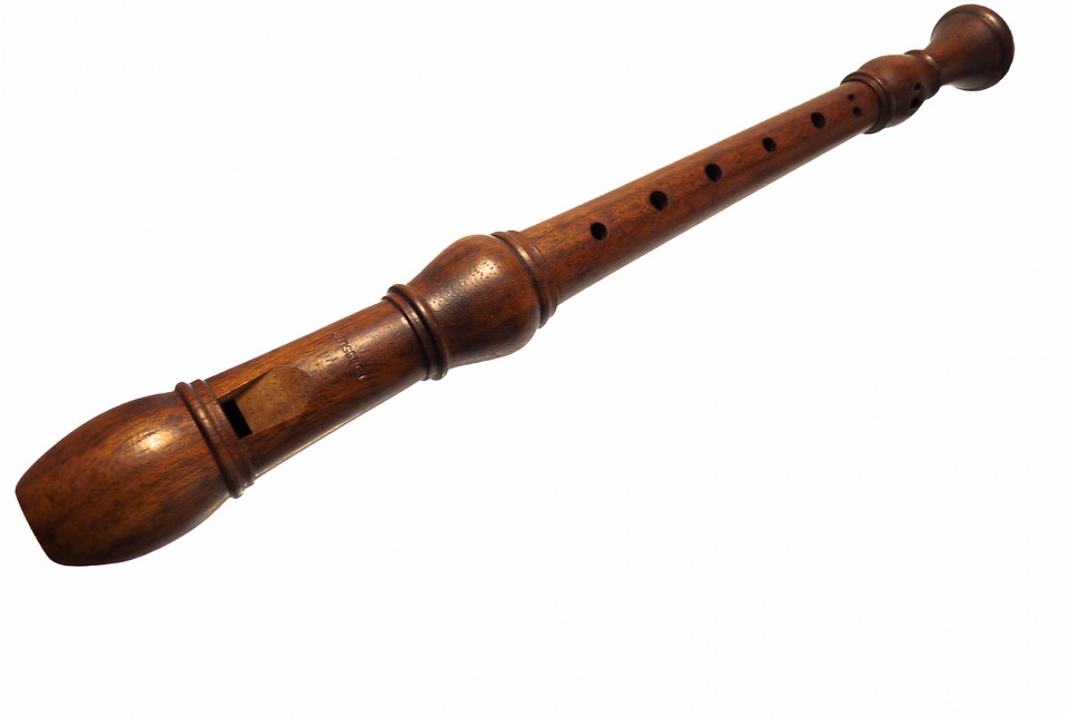 Flute Instrument Wood Recorder Wooden Music20 Inch By 30 Inch