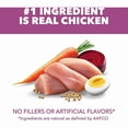 thumbnail image 2 of Proactive Health Healthy Aging Chicken & Whole Grains Dry Dog Food 12.5 oz., Case of 12, 2 of 2