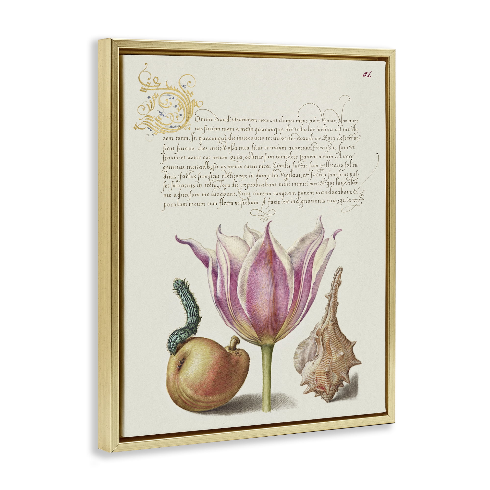 Stupell Industries Flower & Bug Study Page Text & Numbers Painting Gold Floater Framed Canvas Art Print Wall Art, 25 x 31