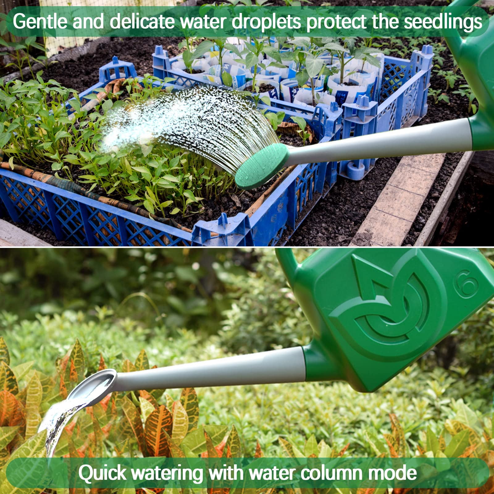 1.5 Gallon Green Watering Can Outdoor Garden Flower Plant, Lightweight 6 L Water Cans with Detachable Nozzle Watering Pot for Office House Garden