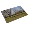thumbnail image 3 of Print: Rural Alabama In The Spring, 2010, 3 of 4