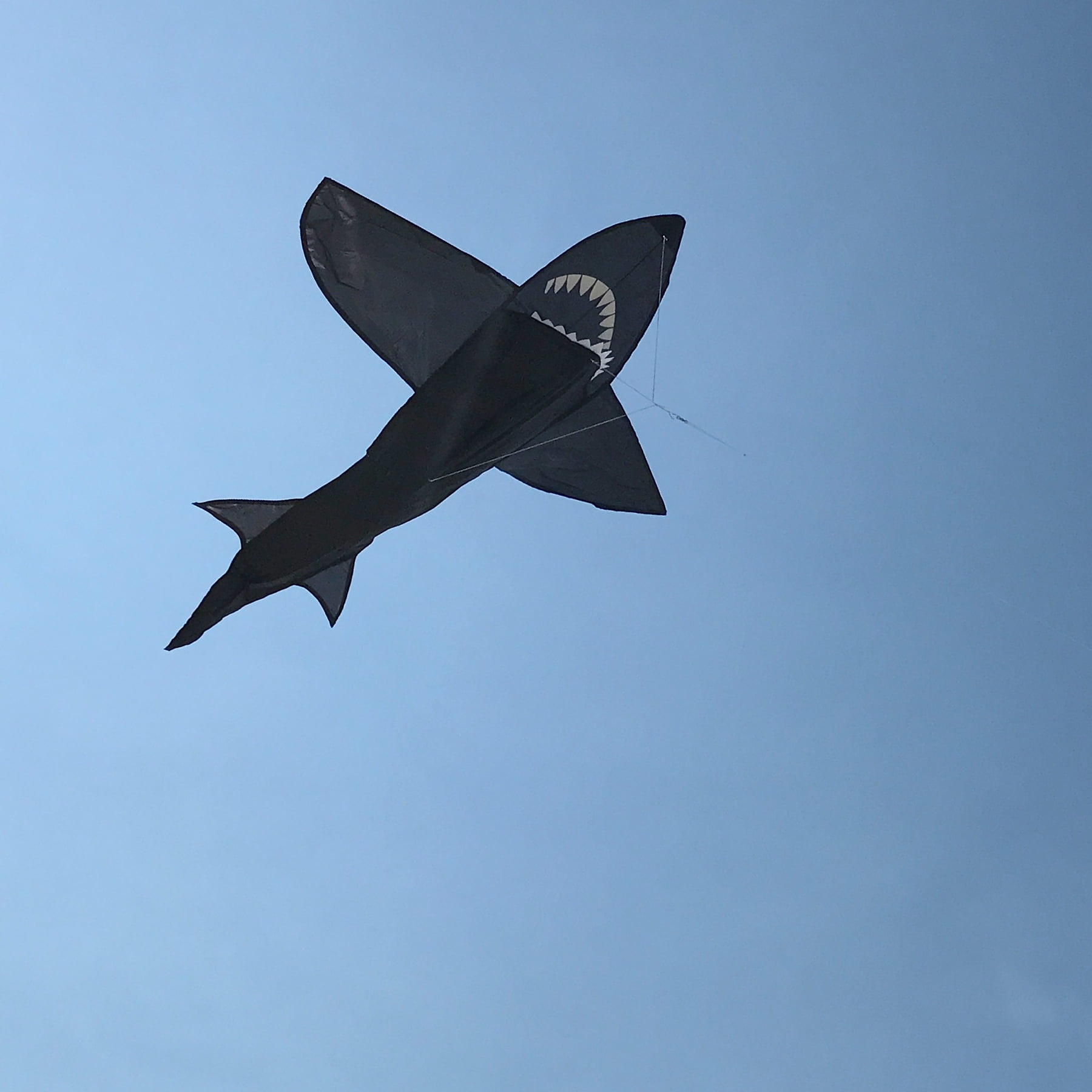 In The Breeze 2909 — 4 ft. 3D Shark Kite — Fun, Easy Flying Single-Line Sea Life Kite for the Family