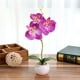 thumbnail image 5 of Maceta artificial de orquídea Phalaenopsis de color púrpura, maceta redonda pequeña, 5 of 6
