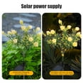 thumbnail image 7 of Twfbrm Solar Flower Lights for Outdoor, 29" Realistic Gardenia Flowers LED Garden Lights, Waterproof Solar Powered Decorative Stake Lights Auto ON/Off Landscape Lights for Lawn Yard Patio Pathway, 7 of 7