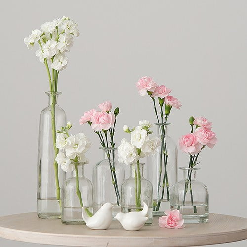 Clear Decorative Glass Bottle Set