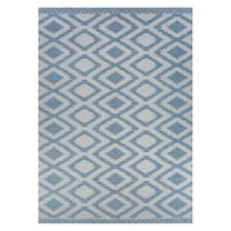 Couristan Nambia        Area Rug, Nile ,Rectangle, 3'9" x 5'5"