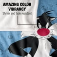 thumbnail image 4 of Looney Tunes Blanket, 50'x60', Sylvester Character Silky Touch Super Soft Throw, 4 of 6