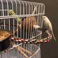thumbnail image 4 of Flmtop Pet Bird Parrot Parakeet Cotton Rope Coil Cage Decor Stand Perch Chewing Toy Multicolor, 4 of 9