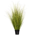 thumbnail image 1 of 36 Pouces Herbe de Switchgrass Verte/brune en Pot, 1 of 1