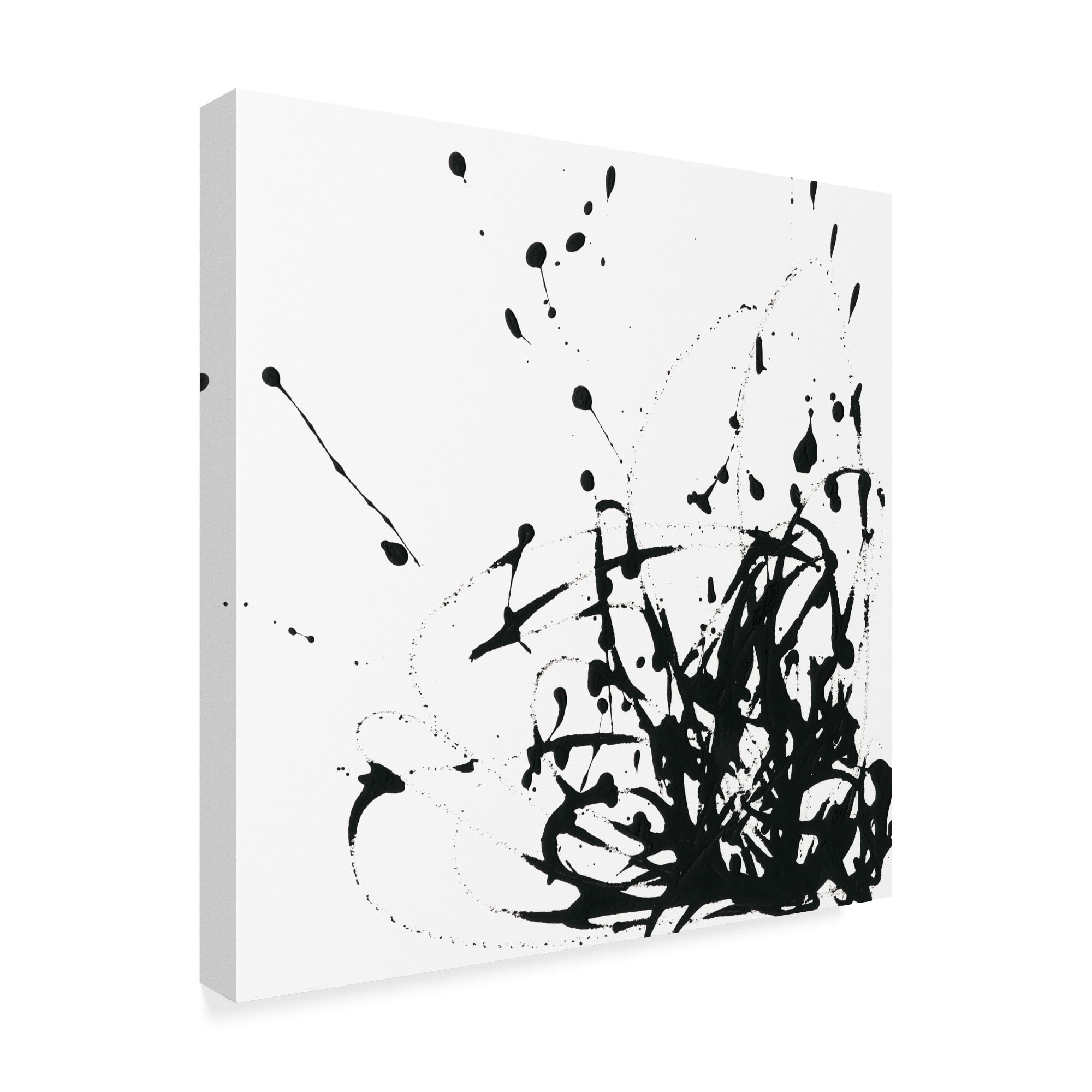 Trademark Fine Art 'UA CH Onyx Expression II' Canvas Art by June Erica Vess