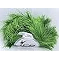 thumbnail image 3 of Grass Green Extra Long Eyelash Yarn Ice Luxurious Fun Fur 50gr 38yds, 3 of 4