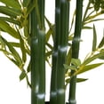 thumbnail image 5 of Christopher Knight Home 61" Bamboo in Black Plastic Pot, Pre-Potted Faux Greenery Tree for Home Decor, Set of 2, 5 of 10