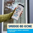 thumbnail image 2 of Aunt Fannie's Glass & Window Cleaning Wipes, Natural Streak-Free Glass Cleaner, 35 Count (Pack of 6), 2 of 4