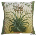 thumbnail image 1 of Koko Company 91802 Botanica - Oreiller - 20X20- Lin - Imprimé Aloe Vera., 1 of 1
