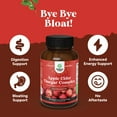 thumbnail image 3 of Natures Craft Extra Strength Apple Cider Vinegar Capsules for Gut Health & Detox Pills, 120 Count, 3 of 9