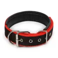thumbnail image 1 of Typpkmm Durable Padded Puppy Big Dog Collars for Small Large Dogs Adjustable Nylon, 1 of 7