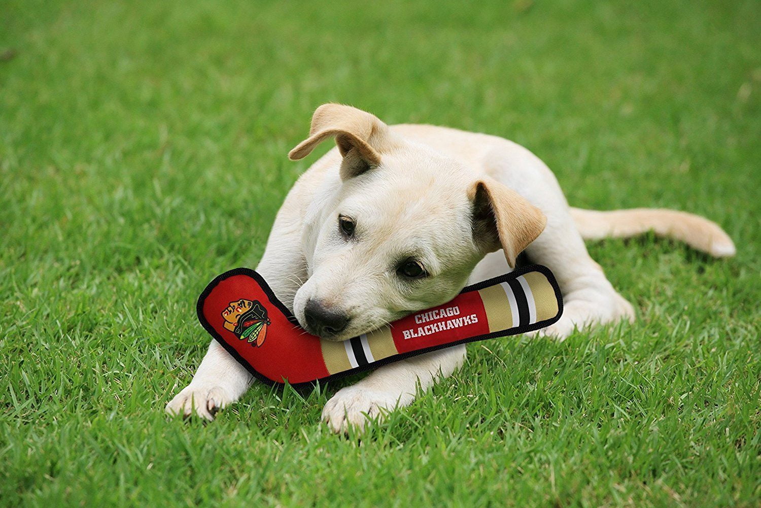 Pets First NHL Chicago Blackhawks Hockey Stick Toy for Dogs & Cats - Heavy-Duty, Durable Dog Toy with Squeaker