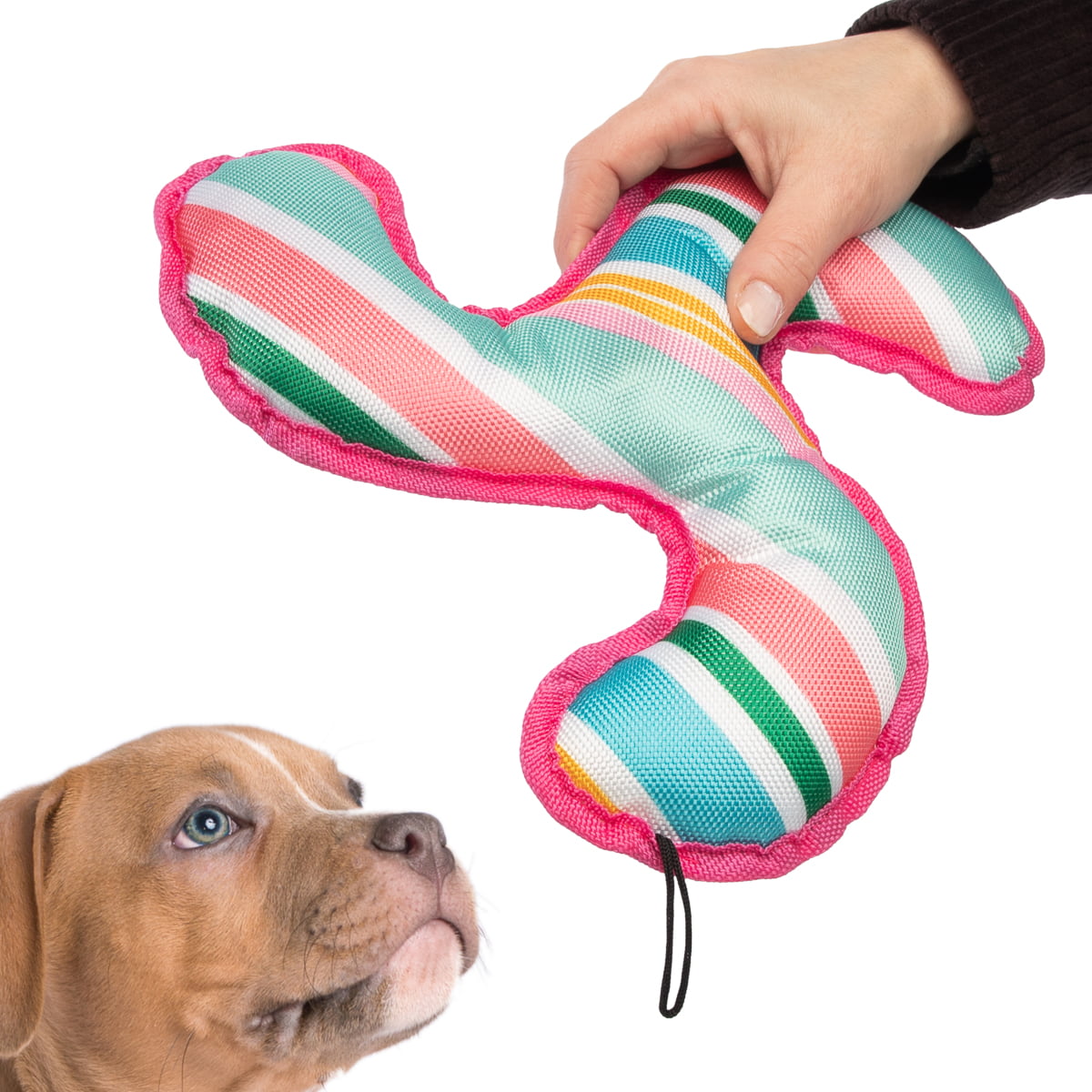 dog fetch toy