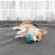 thumbnail image 3 of Juguete Masticable Para Perros, Juguete Chirriante, Masticador Agresivo, Bola Indestructible, Aburrimiento, Caucho Interactivo De Larga Duración Yuarrent PT001509-01, 3 of 7
