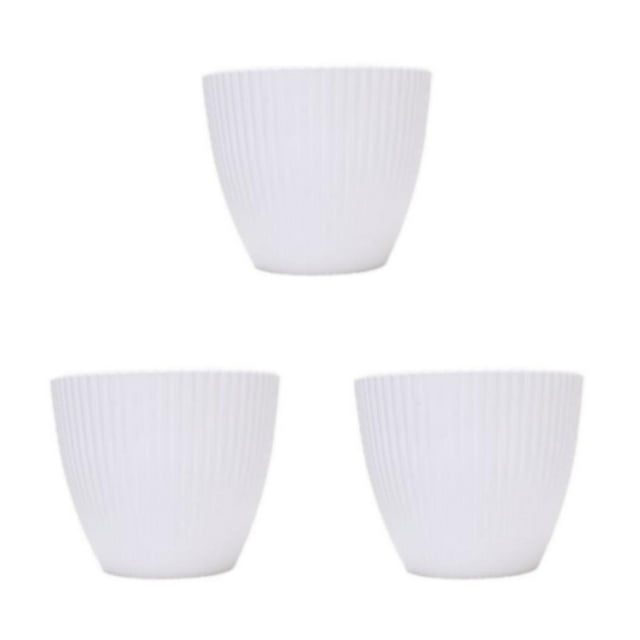 Yuarrent Plantas Suculentas Para Espacios Pequeños Y De Fácil Mantenimiento Y Tamaños Marfil 17CM Type1 NO1