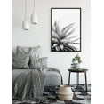 thumbnail image 2 of PixonSign Framed Canvas Print Wall Art Zebra Succulent Close-Up Floral Wilderness Illustrations Modern Art Rustic Relax/Calm Black and White for Living Room, Bedroom, Office - 24"x36" Black, 2 of 5
