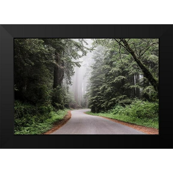 Highsmith, Carol 14x11 Black Modern Framed Museum Art Print Titled - Redwood National and State Park on U.S. 101 in Northern California