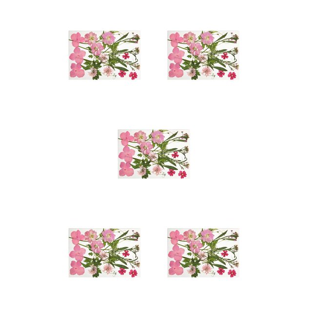 Moyic Calcomanía de flores secas, calcomanía de maquillaje para niñas hermosas naturales, decoración artesanal, rellenos artesanales, Type2 NO2